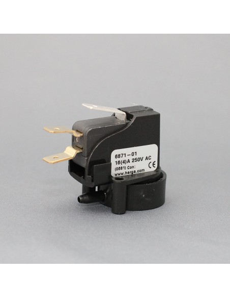 Electric Foot Switch Internal